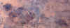 AR.jpg (454793 bytes)