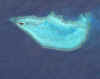 ikonos_heron.jpg (384720 bytes)