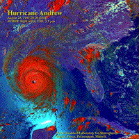 Color AVHHR closeup view of Andrew over New Orleans.