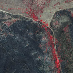 CARTERRA Forestry Application image - Morning Dove Wildfire, Utah