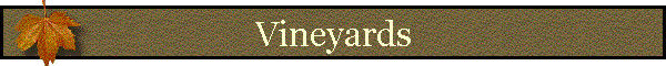 Vineyards