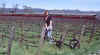 GPR Mondavi.jpg (26367 bytes)