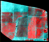 grapes1994 5mpixel res.gif (91936 bytes)