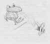 FROG1.jpg (49989 bytes)