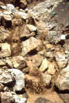 Erosion-2.jpg (176234 bytes)